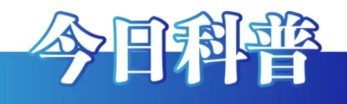 193cc952-fe30-40df-aa0b-3f0ba4a15542.png